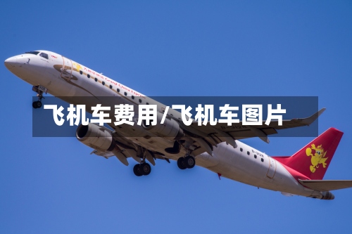 飞机车费用/飞机车图片-第3张图片