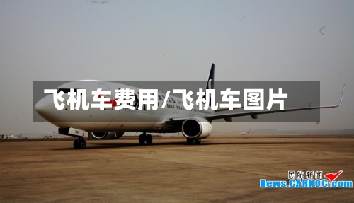 飞机车费用/飞机车图片-第2张图片