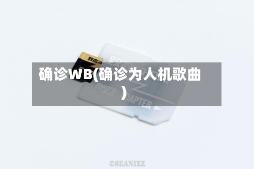 确诊WB(确诊为人机歌曲)
