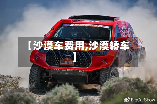 【沙漠车费用,沙漠轿车】-第3张图片