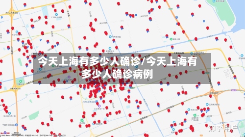 今天上海有多少人确诊/今天上海有多少人确诊病例-第2张图片