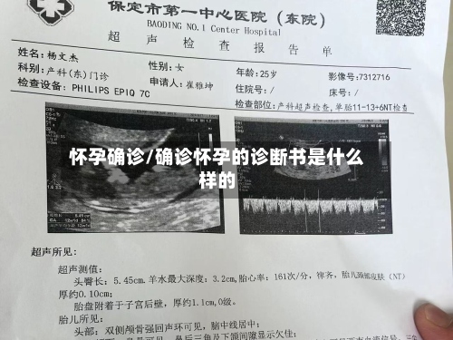 怀孕确诊/确诊怀孕的诊断书是什么样的