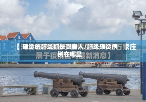 确诊的肺炎都是哪里人/肺炎确诊病例在哪里