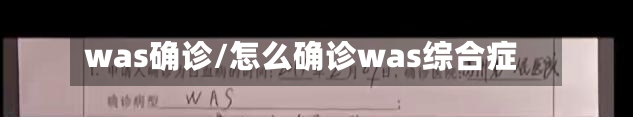was确诊/怎么确诊was综合症