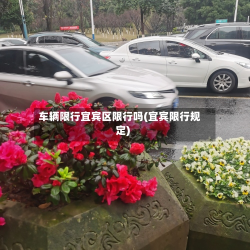 车辆限行宜宾区限行吗(宜宾限行规定)
