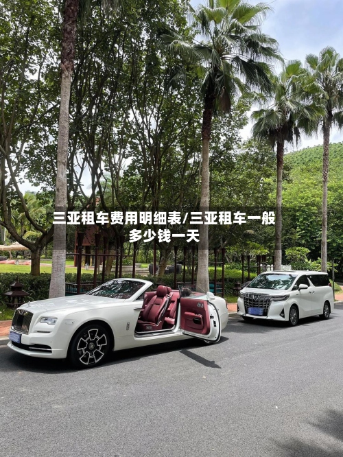 三亚租车费用明细表/三亚租车一般多少钱一天-第3张图片