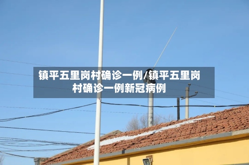镇平五里岗村确诊一例/镇平五里岗村确诊一例新冠病例-第2张图片