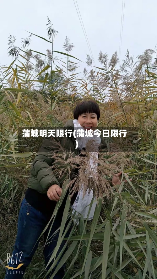 蒲城明天限行(蒲城今日限行)-第3张图片