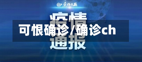 可恨确诊/确诊ch-第3张图片