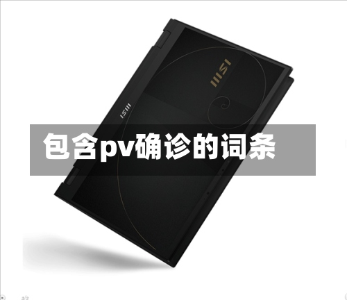 包含pv确诊的词条-第2张图片
