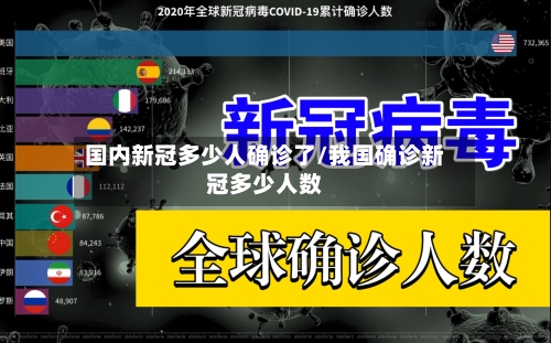 国内新冠多少人确诊了/我国确诊新冠多少人数-第2张图片