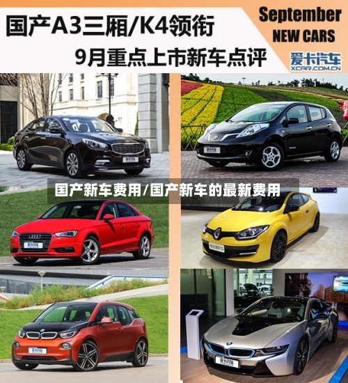 国产新车费用/国产新车的最新费用