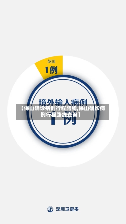 【保山确诊病例行程路线,保山确诊病例行程路线查询】-第3张图片