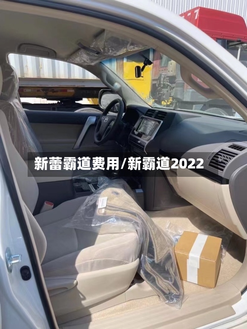 新蕾霸道费用/新霸道2022-第2张图片
