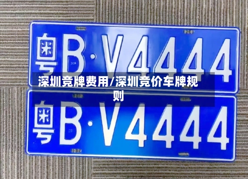 深圳竞牌费用/深圳竞价车牌规则