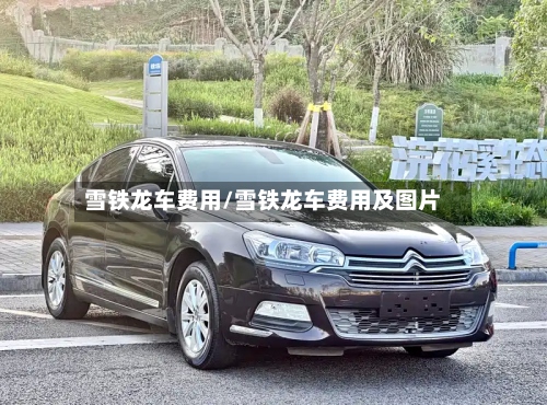 雪铁龙车费用/雪铁龙车费用及图片