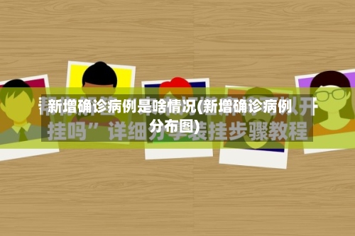 新增确诊病例是啥情况(新增确诊病例分布图)
