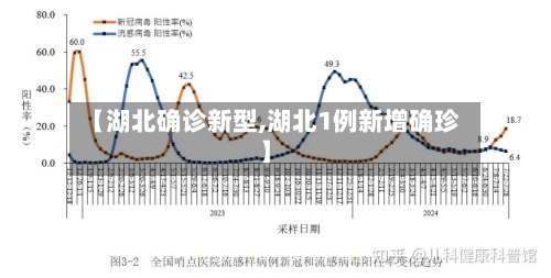 【湖北确诊新型,湖北1例新增确珍】-第2张图片