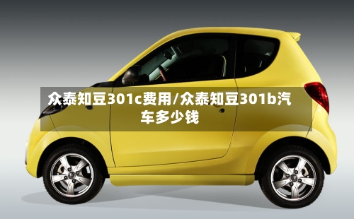 众泰知豆301c费用/众泰知豆301b汽车多少钱
