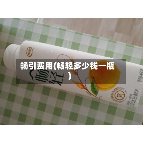 畅引费用(畅轻多少钱一瓶)-第2张图片