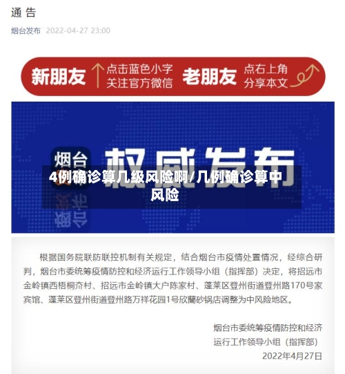 4例确诊算几级风险啊/几例确诊算中风险-第2张图片