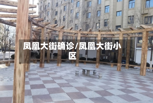 凤凰大街确诊/凤凰大街小区