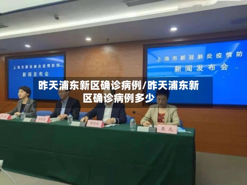 昨天浦东新区确诊病例/昨天浦东新区确诊病例多少-第2张图片
