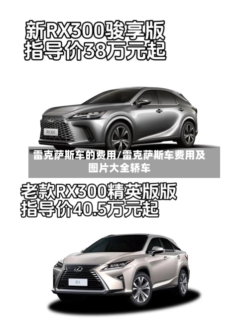 雷克萨斯车的费用/雷克萨斯车费用及图片大全轿车-第2张图片
