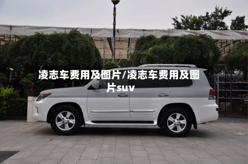 凌志车费用及图片/凌志车费用及图片suv