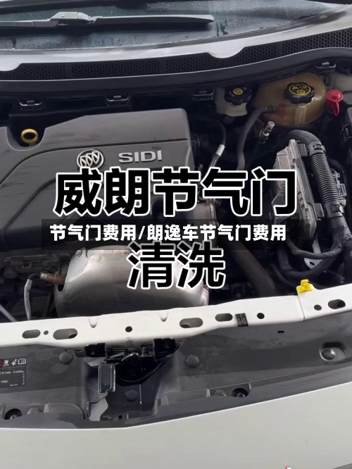 节气门费用/朗逸车节气门费用-第2张图片