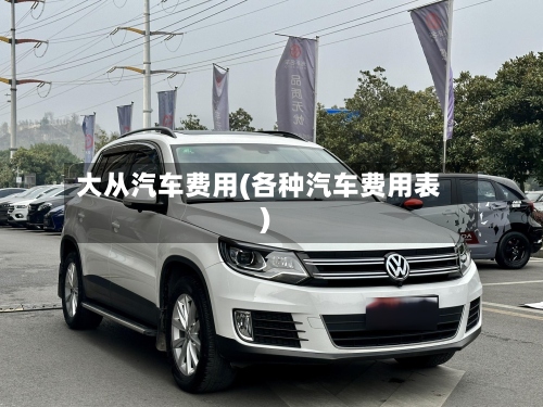 大从汽车费用(各种汽车费用表)