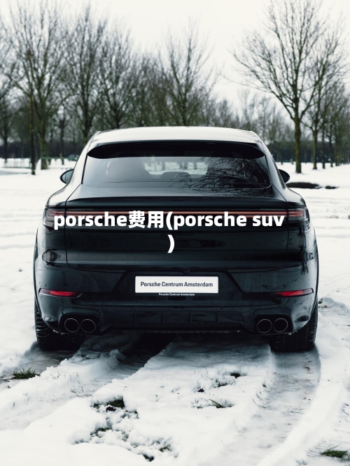 porsche费用(porsche suv)-第2张图片