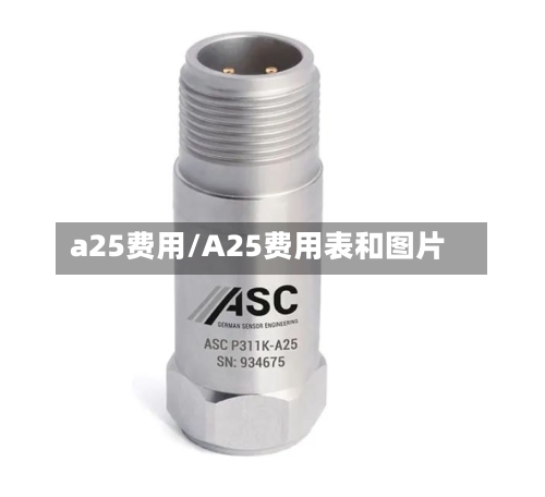 a25费用/A25费用表和图片