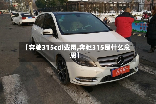 【奔驰315cdi费用,奔驰315是什么意思】