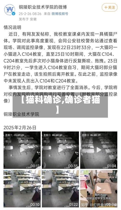 【猫科确诊,确诊者猫】