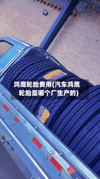 鸿鹰轮胎费用(汽车鸿鹰轮胎是哪个厂生产的)-第2张图片