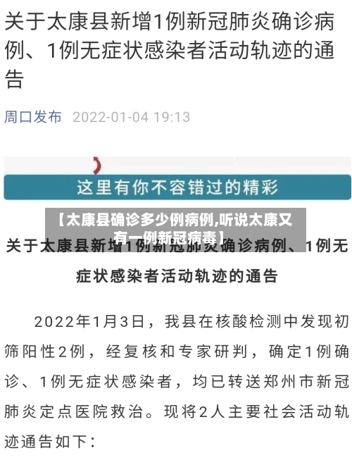 【太康县确诊多少例病例,听说太康又有一例新冠病毒】-第2张图片