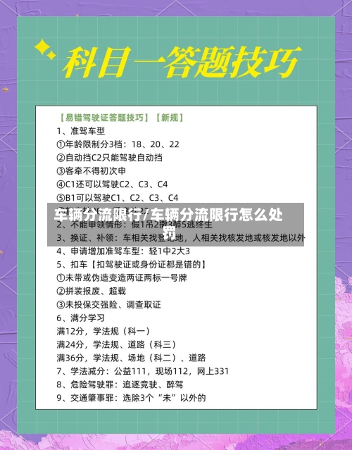 车辆分流限行/车辆分流限行怎么处罚-第2张图片