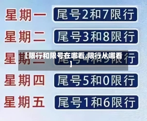 【限行和限号在哪看,限行从哪看】-第3张图片