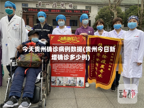 今天贵州确诊病例数据(贵州今日新增确诊多少例)-第3张图片
