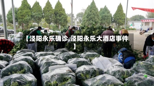 【泾阳永乐确诊,泾阳永乐大酒店事件】