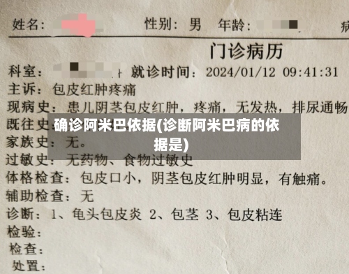 确诊阿米巴依据(诊断阿米巴病的依据是)-第2张图片