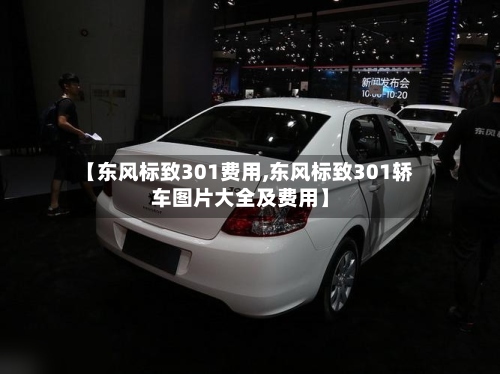 【东风标致301费用,东风标致301轿车图片大全及费用】-第3张图片