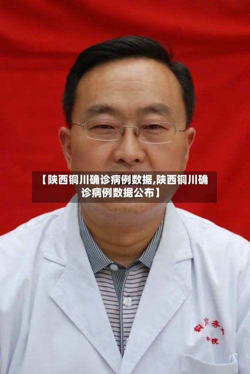 【陕西铜川确诊病例数据,陕西铜川确诊病例数据公布】