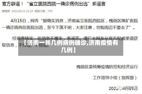 【济南一共几例病例确诊,济南疫情有几例】-第2张图片