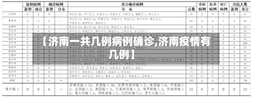 【济南一共几例病例确诊,济南疫情有几例】
