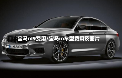 宝马m9费用/宝马m车型费用及图片-第2张图片
