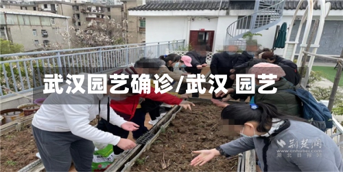 武汉园艺确诊/武汉 园艺-第3张图片