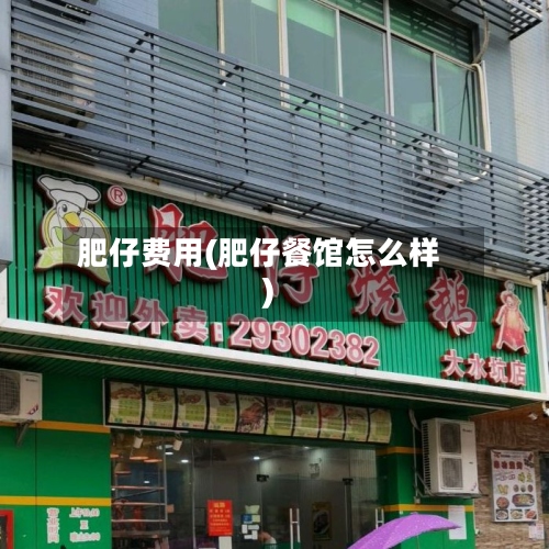 肥仔费用(肥仔餐馆怎么样)-第2张图片
