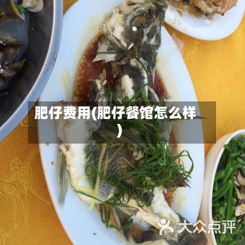 肥仔费用(肥仔餐馆怎么样)-第3张图片